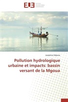 Joséphine Ndjama, Ndjama-j - Pollution hydrologique urbaine et