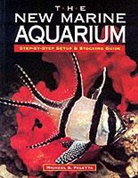 Michael Paletta - The New Marine Aquarium