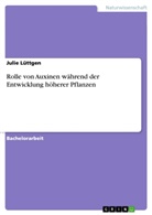 Julie Lüttgen - Rolle von Auxinen während der Entwicklung höherer Pflanzen
