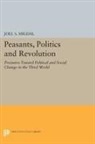 Joel Migdal, Joel S. Migdal - Peasants, Politics and Revolution