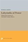 Peter Smith, Peter H. Smith - Labyrinths of Power