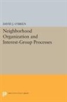 David J. O`brien, David O'Brien, David J. O'Brien, David J. O''brien, O'Brien David J. - Neighborhood Organization and Interest-Group Processes