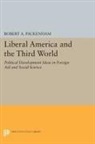 Robert Packenham, Robert A. Packenham, Packenham Robert A. - Liberal America and the Third World