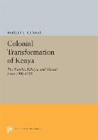 Robert Tignor, Robert L. Tignor - Colonial Transformation of Kenya