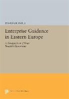 David Granick, Granick David - Enterprise Guidance in Eastern Europe