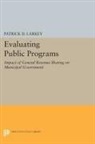 Patrick Larkey, Patrick D. Larkey, Larkey Patrick D. - Evaluating Public Programs