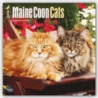 Inc Browntrout Publishers, Browntrout Publishers (COR) - Maine Coon Cats 2016 Calendar