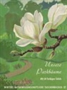 Werner Rauh - Unsere Parkbäume