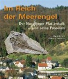 Gerd Dietl, Günter Schweigert - Im Reich der Meerengel