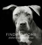 Traer Scott - Finding Home