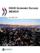 OECD - OECD Economic Surveys: Mexico 2015