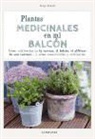Plantas medicinales en mi balcón