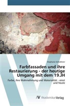 Stephanie Schodterer - Farbfassaden und ihre Restaurierung - der heutige Umgang mit dem 19.JH