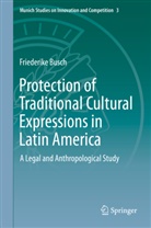 Anna Friederike Busch, Friederike Busch - Protection of Traditional Cultural Expressions in Latin America