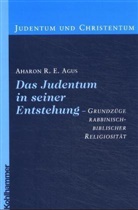 Aharon R. E. Agus - Das Judentum in seiner Entstehung