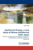 Hakim SAIBI - Geothermal Energy, a case study of Obama Geothermal Field, Japan