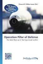 Edward R. Miller-Jones, Edwar R Miller-Jones - Operation Pillar of Defense