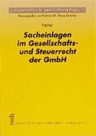 Michael Fischer - Sacheinlagen im Gesellschafts- und Steuerrecht der GmbH