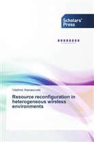 Vladimir Atanasovski - Resource reconfiguration in heterogeneous wireless environments