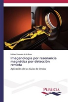 Fabian Vazquez de la Rosa - Imagenología por resonancia magnética por detección remota