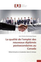 Bogoya-h, Hans Christian Montenegro Bogoya - La qualite de l emploi des