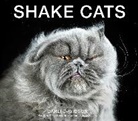 Carli Davidson, Davidson Carli - Shake Cats