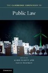 Mark Feldman Elliott, Mark Elliott, David Feldman - Cambridge Companion to Public Law