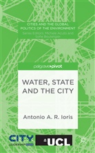 A Ioris, A. Ioris, Antonio Ioris, Antonio A. R. Ioris, Antonio Augusto Rossotto Ioris - Water, State and the City
