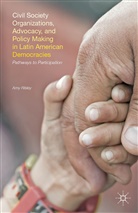 A Risley, A. Risley, Amy Risley - Civil Society Organizations, Advocacy, Policy Making in Latin