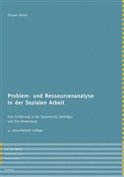 Kaspar Geiser - Problem- und Ressourcenanalyse in der Sozialen Arbeit