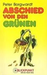 Peter Borgwardt - Abschied von den Grünen