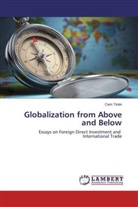 Cem Tintin - Globalization from Above and Below