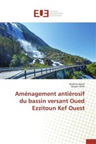 Brahi Amari, Brahim Amari, Jassem Slimi - Amenagement antierosif du bassin