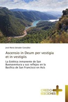 José María Salvador González - Ascensio in Deum per vestigia et in vestigiis