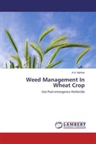 A H Nanher, A. H. Nanher, A.H. Nanher - Weed Management In Wheat Crop