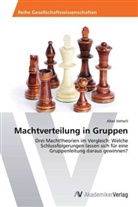 Allan Vetterli - Machtverteilung in Gruppen