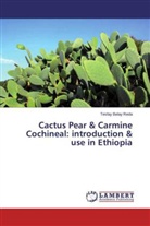 Tesfay Belay Reda - Cactus Pear & Carmine Cochineal: introduction & use in Ethiopia