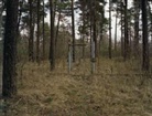 Angus Boulton, SIMON FAULKNER, John Schofield - Restricted Areas