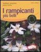 Karl Ludwig - I rampicanti più belli. Spalliere, pergolati, pareti fiorite