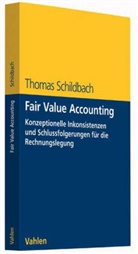 Thomas Schildbach, Thomas (Prof. Dr.) Schildbach - Fair Value Accounting