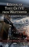 Tonni Agustiono Kurniawan - Removal of Toxic Cr(VI) from Wastewater