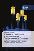 Manuvesh Sangwan - Kinetics of Combustion Reactions at High Temperatures and Pressures