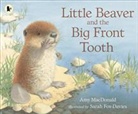Amy MacDonald, Dr. Amy MacDonald, Sarah Fox-Davies - Little Beaver and the Big Front Tooth