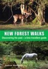 Andrew Walmsley - New Forest Walks