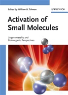William B. Tolman, Willia B Tolman, William B Tolman, William Tolman, William B. Tolman - Activation of Small Molecules
