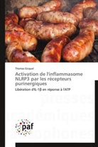 Thomas Gicquel, Gicquel-t - Activation de l inflammasome