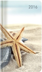 Ladytimer Slim Sea Star 2016