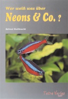 Helmut Stallknecht - Wer weiss was über Neons & Co.
