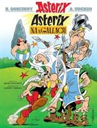 Rene Goscinny, Albert Uderzo, Antain Mac Lochlainn - Asterix Na Ngallach (Irish)