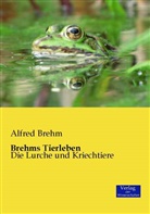 Alfred Brehm - Brehms Tierleben